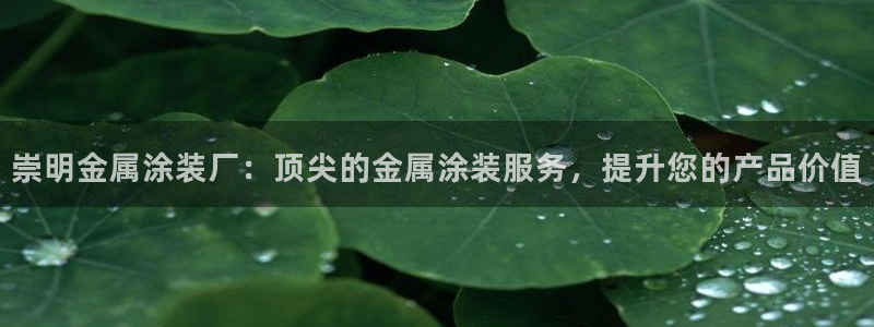 美高梅酒店集团是哪个国家的