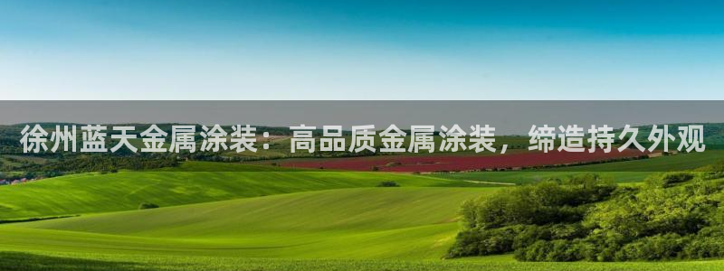 美狮美高梅酒店开业