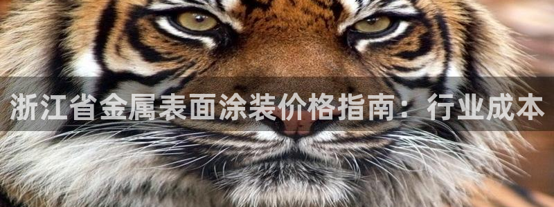 美高梅是上市公司吗