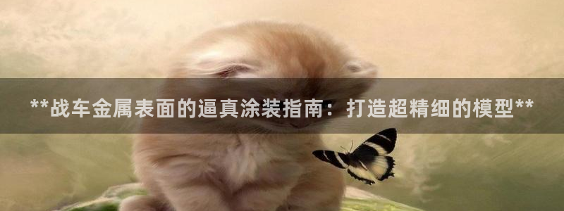 美高梅酒店金卡