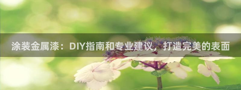 美狮美高梅酒店谢霆锋