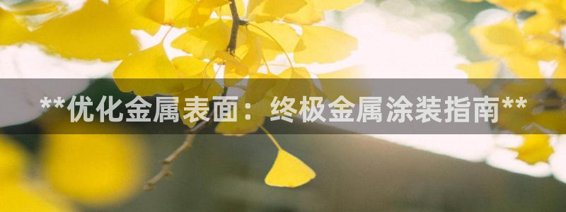 美高梅会员卡密码