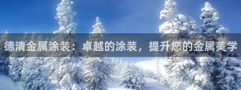 美高梅衣服外套