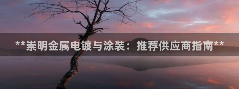 美高梅旁边还有什么酒店