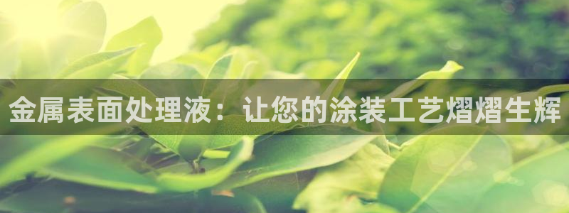 美高梅酒店招聘信息