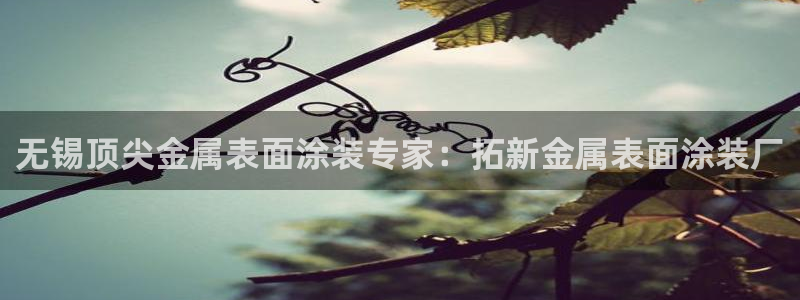 美高梅外套多少钱一件