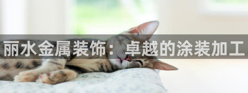 美高梅大酒店老板是谁