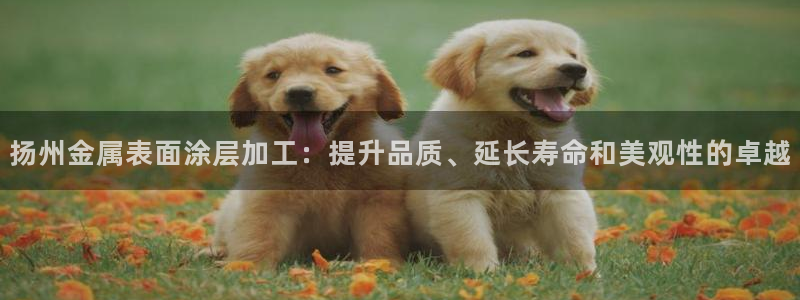 美高梅尊贵卡值多少钱