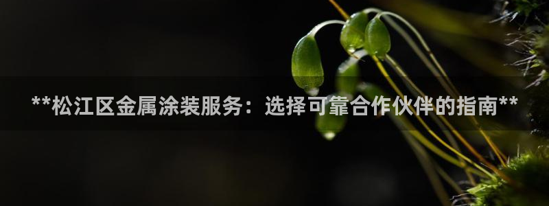 美高梅客户服务中心招聘