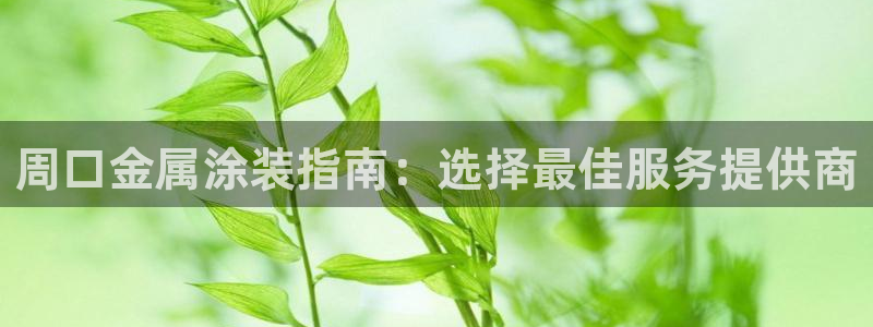 美高梅股份有限公司
