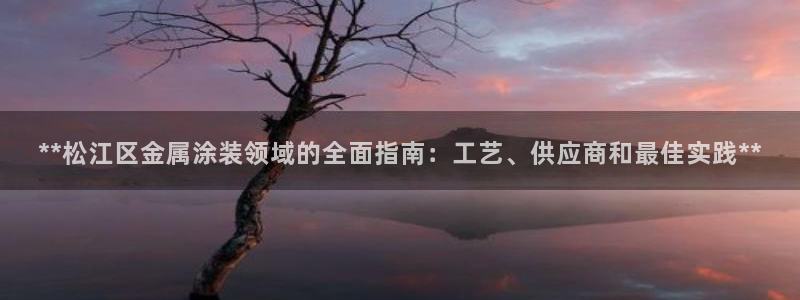 02282美高梅股票