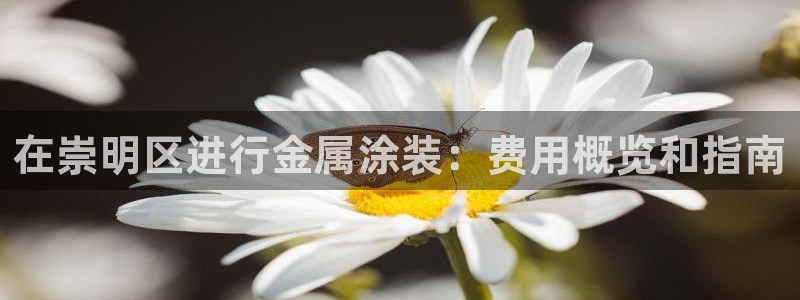 美高梅是做什么的宁波