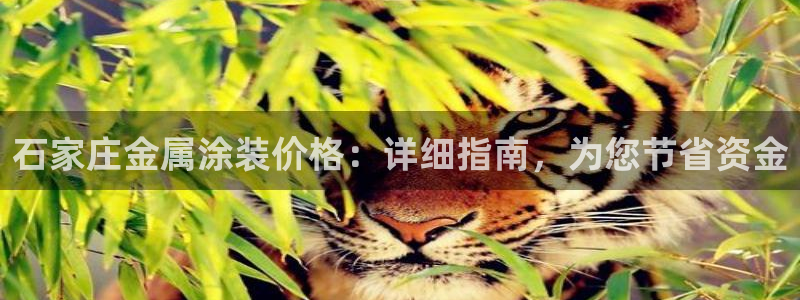 美高梅客户服务中心地址