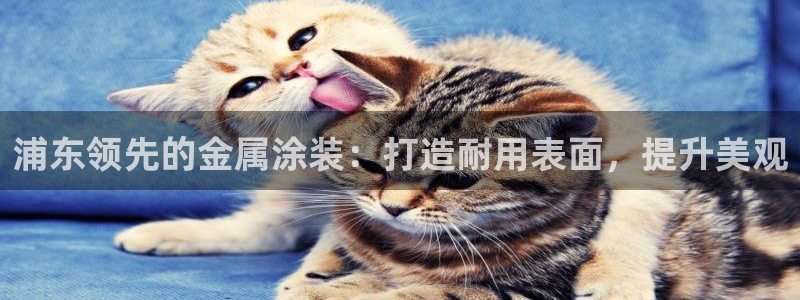 美高梅酒店会员