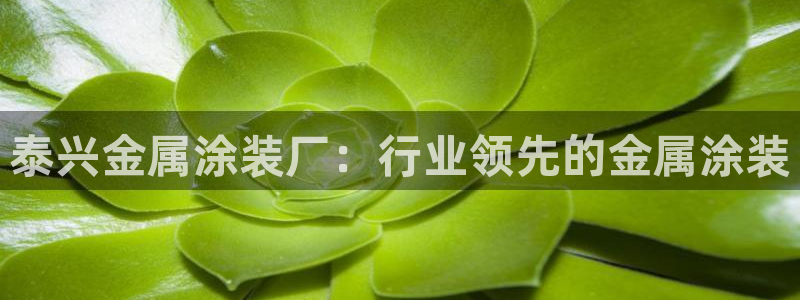 美高梅现状