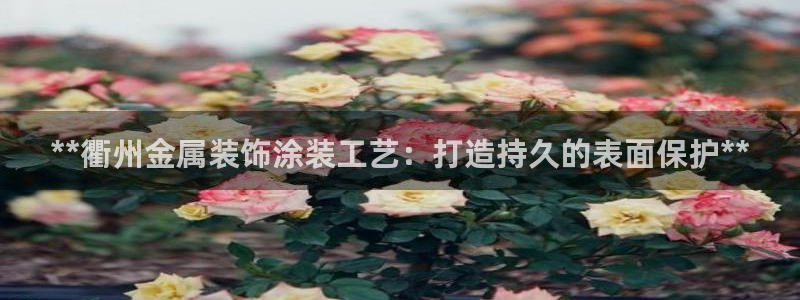 美高梅会员卡如何申请