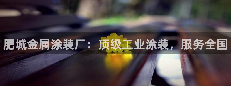 美高梅中国股票