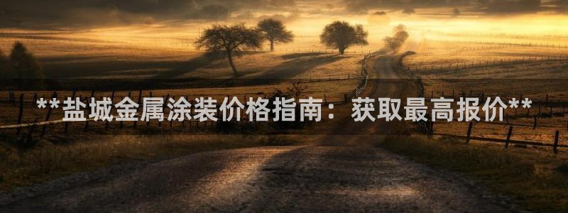美高梅国际酒店集团资产