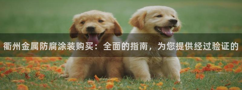 美高梅金狮卡是什么卡