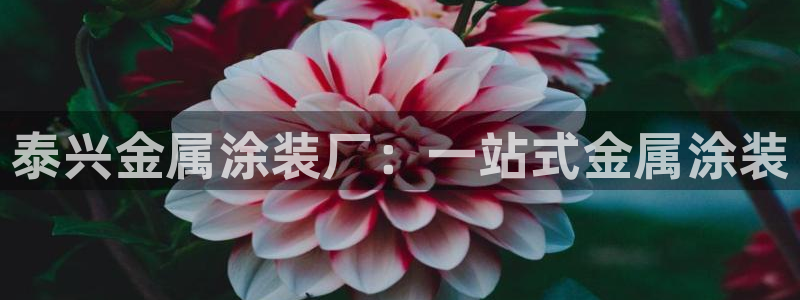 美狮美高梅美食