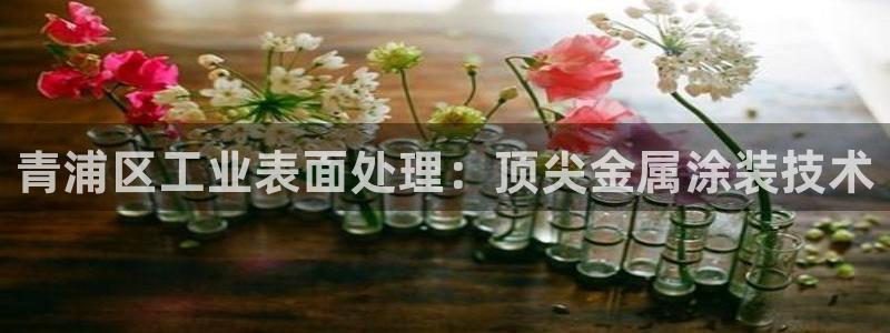 美高梅酒店自助