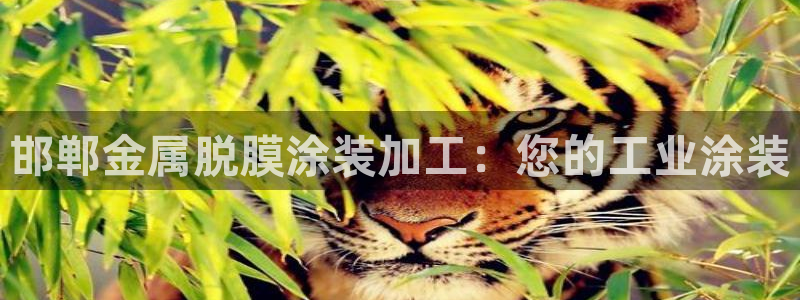 美高梅有限公司