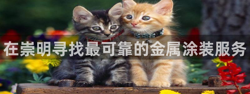 美高梅飞鱼表演还有吗