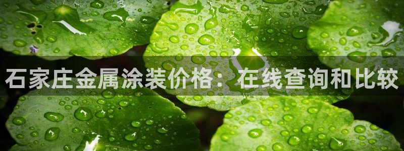 美高梅金狮卡是什么卡