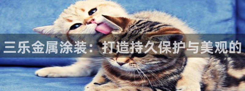 美高梅会员卡办理要提供什么资料