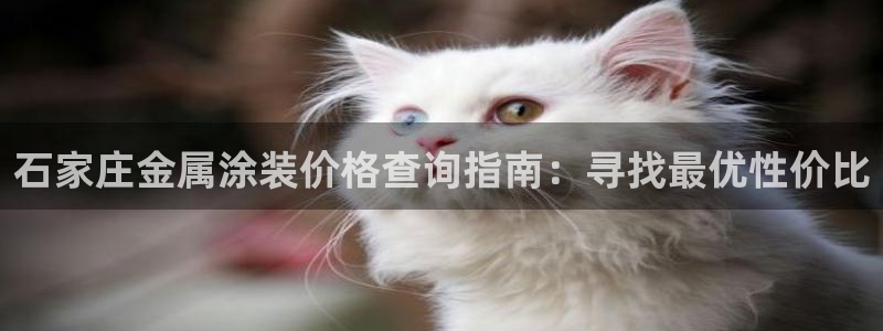 美高梅品牌