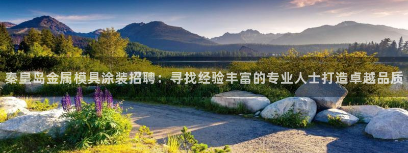 美高梅中国股票2282