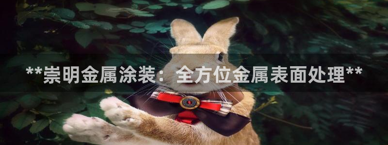 美高梅软件开发创始人
