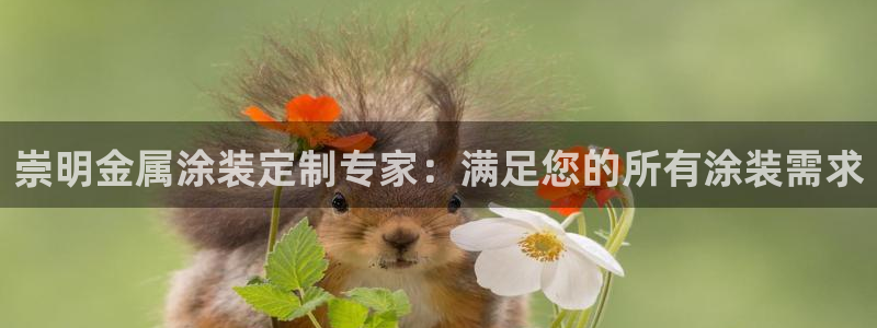 美高梅空气炸锅怎么样好用吗