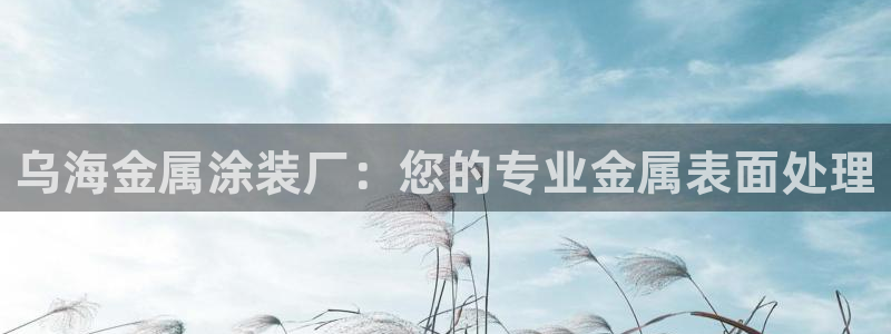 美狮美高梅酒店设计师