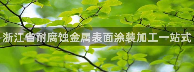 美高梅飞鱼表演还有吗