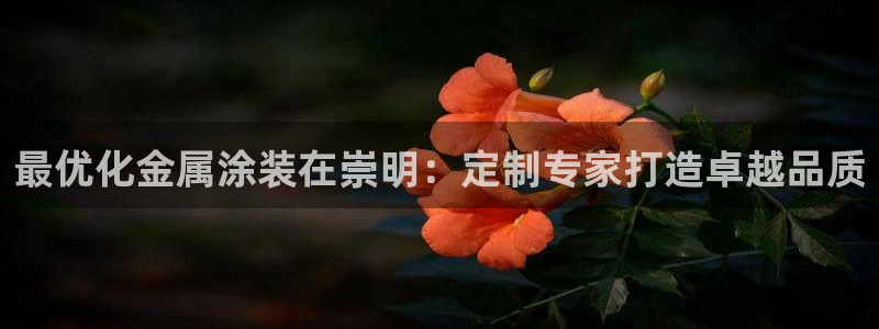 美高梅卡是什么