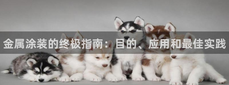 美高梅游戏官网app可以玩吗