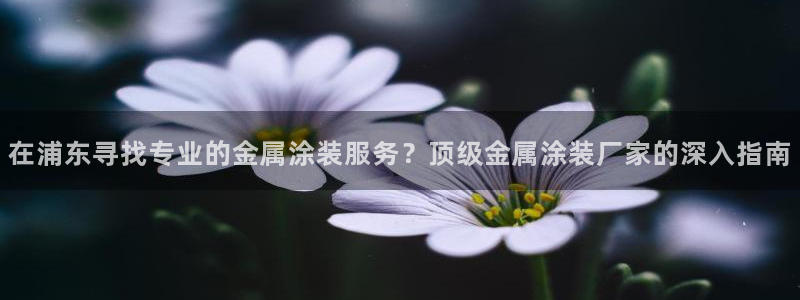美高梅酒店管理有限公司