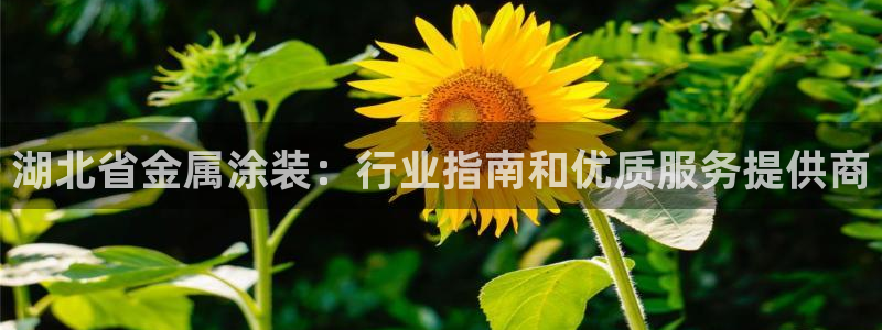 美高梅酒店图片