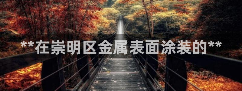 美高梅直营游戏有哪些