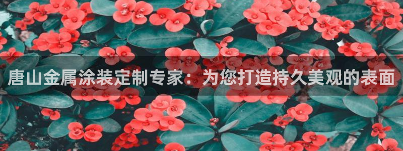 澳门的美高梅酒店外观视频