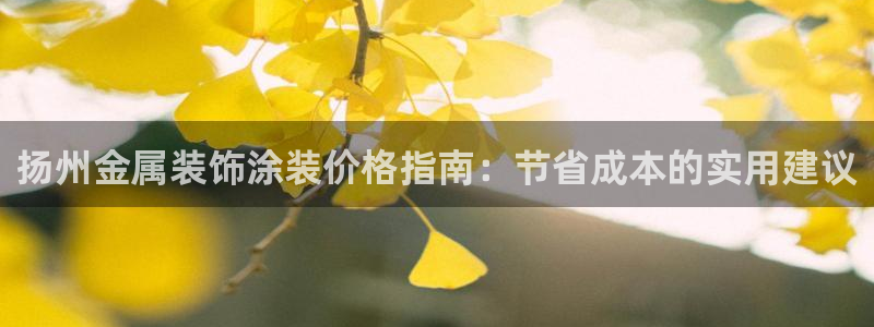 美高梅公司