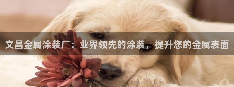 美高梅是哪个国家的连锁酒店