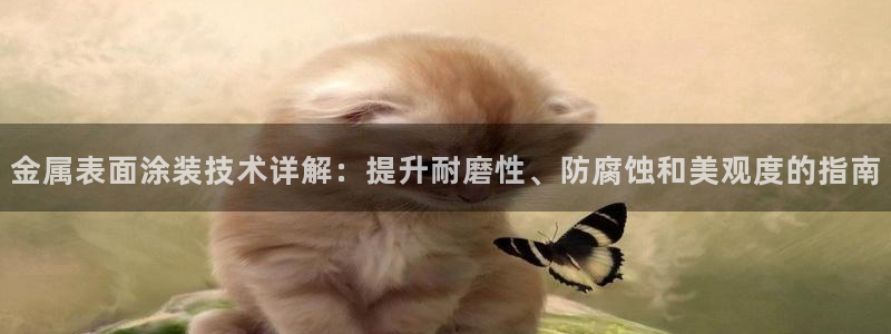 美高梅几星级酒店?