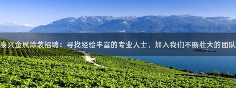 美高梅酒店logo图片