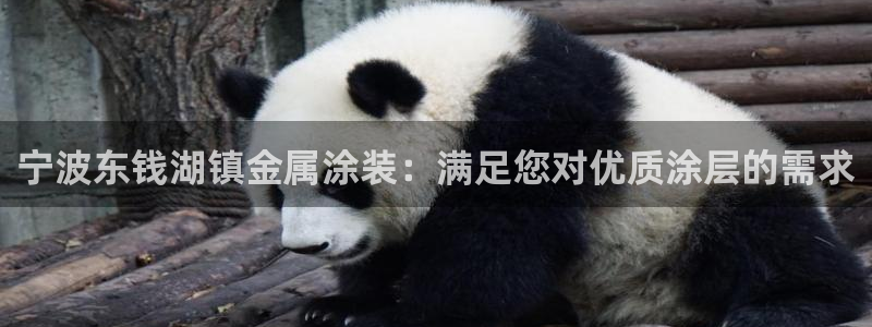 美高梅音乐会公开售票吗