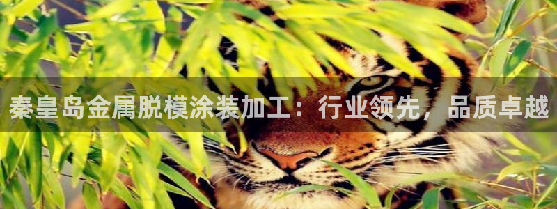 美高梅年收入