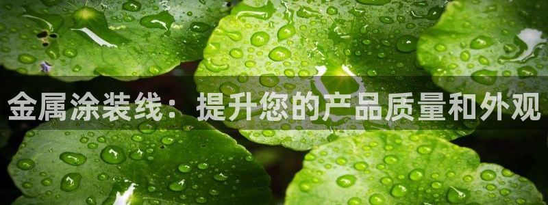 美高梅会员等级