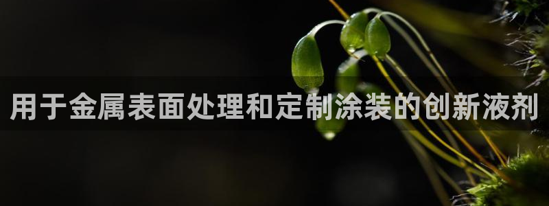 美高梅枪击案