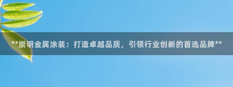 美高梅网络科技有限公司